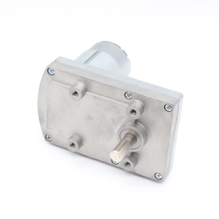 DC Parallel Gear Motor（RS555-PAG6095）