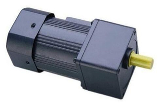 AC spur gear motor